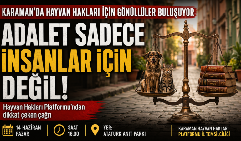 a-d8-a7-b29-b01-4635-a-a-e-b-d-d-d-a00-f78432.png