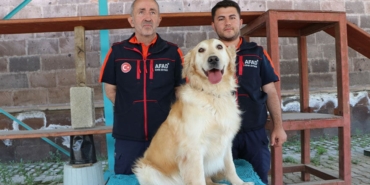 afad-kopek.jpg