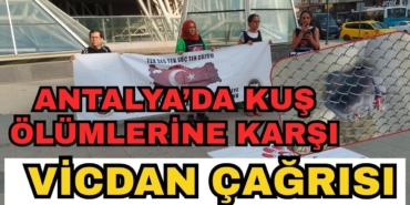 antalyada-kus-olumlerine-karsi-vicdan-cagrisi-1-2.jpg