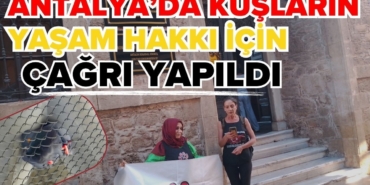 antalyada-kuslarin-yasam-hakki-icin-cagri-yapildi-1-2.jpg