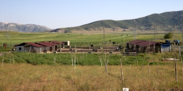 bitlis-teki-barinak-yaklasik-2-bin-sahipsiz-k-2-19966821_amp.jpg