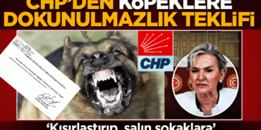 chpden-kopeklere-dokunulmazlik-teklifi-kisirlastirip-salin-sokaklara-2h1780745415-4543f1.gif