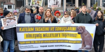 hayvan-yasasi-bm.jpeg