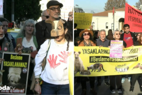 hayvanseverler-istanbul-valilgi-onunde-beslenme-yasaklanamaz-1ndk.jpg