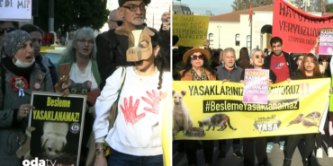 hayvanseverler-istanbul-valilgi-onunde-beslenme-yasaklanamaz-1ndk.jpg