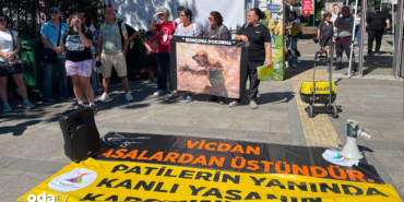 kadikoylulerden-cagri-kopegin-yasam-hakkini-yok-edemeyiz-0x1y.jpg