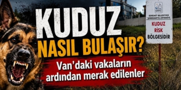 kuduz-bulasici-midir-vandaki-vakalarin-ardindan-merak-edilenler.jpg