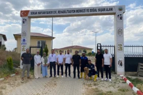 siirt-barosu-ndan-hayvan-bakimevine-ziyaret-calismalar-yerinde-incelendi-738400.webp.webp