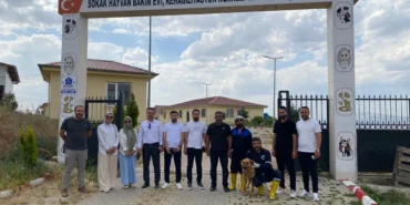 siirt-barosu-ndan-hayvan-bakimevine-ziyaret-calismalar-yerinde-incelendi-738400.webp.webp