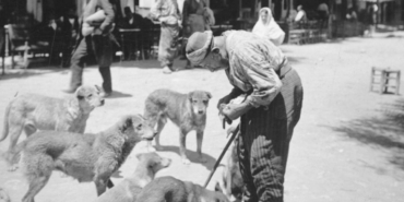 sokak-hayvanlarini-beslemek-osmanlida-saygin-bir-meslekti-mancacilari-bilir-misiniz-7whp.jpg