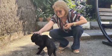 vucudunda-kiriklar-bulunan-sahipsiz-kedi-ogretmenlerin-destegiyle-hayata-tutundu.jpg
