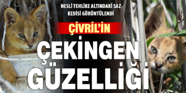 04-DenizliHaber-SLiDER-ORTA240720225545t4kt.jpg
