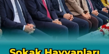 1783613491.jpg