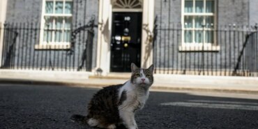 2026-07-20T113026Z_753240870_RC2NHMANIKRF_RTRMADP_3_BRITAIN-POLITICS-6949062.JPG