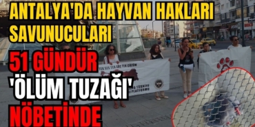 antalyada-hayvan-haklari-savunuculari-51-gundur-olum-tuzagi-nobetinde-1.jpg