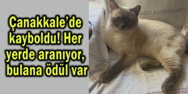 canakkale-kayp-odul.jpg