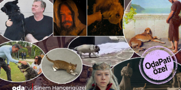christopher-nolan-soyledi-odyssey-neden-en-iyi-kopek-filmi-resimlerde-argos-qfzl.jpg