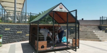 kedi-evi-2.jpeg