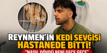 reynmen-kedi-sevgisi-haber-kapagi-8-5b3u_headline.jpg