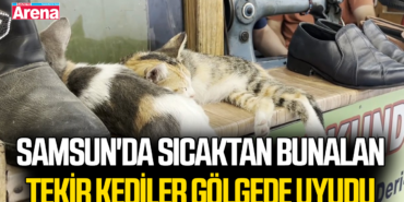 samsun-haber-gazete-arena-71.png