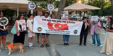 sinop-ta-barinaklar-olmadan-sokak-hayvanlarini-toplama-baskisina-tepki-cozum-katliam-degil.jpg