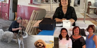 sokak-hayvanlari-icin-yeni-dernek-kuruldu-120349-20260708.webp.webp