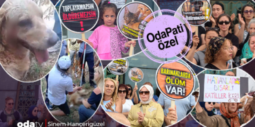 tuzlalilar-ayaga-kalkti-kor-kopek-neden-alindi-belediye-onunde-aciklama-bcw3.jpg