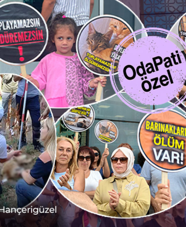 tuzlalilar-ayaga-kalkti-kor-kopek-neden-alindi-belediye-onunde-aciklama-bcw3.jpg