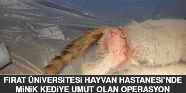 untitled-2-recovered-289.jpg