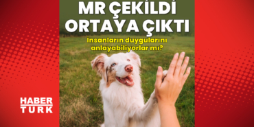 1787807848_1200x628.jpeg