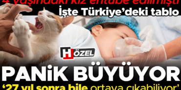 6a82ece1de691a4aa8c6428e.jpg