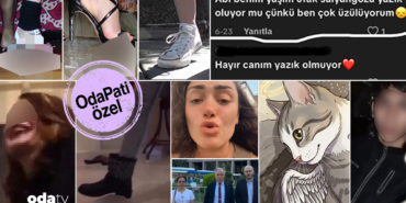 c31kdan-sonra-crush-fetish-kaplumbaga-ve-kedinin-oldurulmesinin-perde-arkasinda-ne-var-tuyler-urpert.jpeg