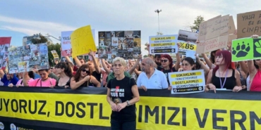 hayvan-haklari-savunuculari-yasayi-sokakta-biz-yazacagiz.jpg