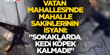 vatan-mahallesi-3.jpg
