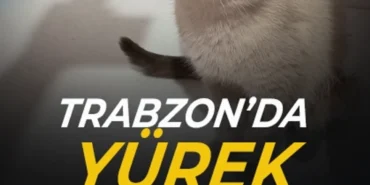 y-u-r-e-k.webp.webp