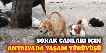 article-3677-cover-1785299258192.jpg