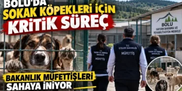 bakanlik-mufettisleri-sahaya-iniyor-2.webp.webp