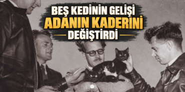 bes-kedinin-gelisi-adanin-kaderini-degistirdi_6abd72a98b693.png