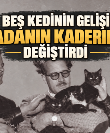 bes-kedinin-gelisi-adanin-kaderini-degistirdi_6abd72a98b693.png