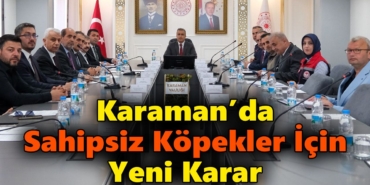 karamanda-sahipsiz-kopekler-icin-yeni-karar.jpg