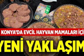 konya-da-evcil-hayvan-mamalari_1789202843_WPXeOr.jpg