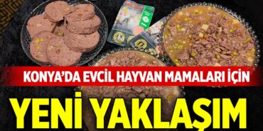 konya-da-evcil-hayvan-mamalari_1789202843_WPXeOr.jpg