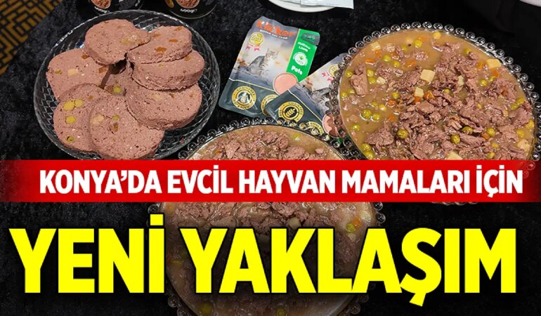 konya-da-evcil-hayvan-mamalari_1789202843_WPXeOr.jpg