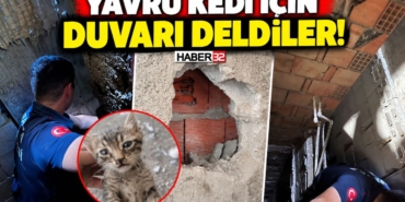 yavrukedii.jpg