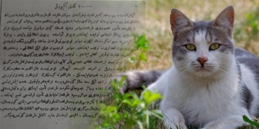 103_yillik_arsiv_kayitlari_ortaya_cikardi_rus_tuccarlar_dogu_anadoluda_10_bin_kedinin_pesine_dustu_1.jpeg