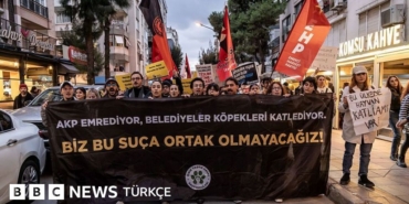6dbedfd0-cbb9-11f1-81ef-39e22b578b80.jpg