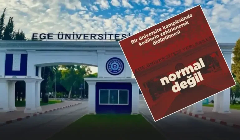 ege-universitesinde-kediler-zehirlendi-iddiasi-rektorlukten-jet-yanit-3.webp.webp