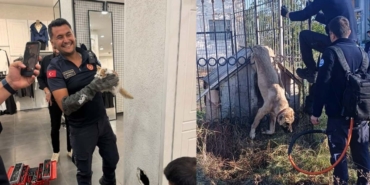 kedi-ve-kopek-kurtarildi.jpg