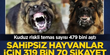 kuduz-riskli-temas-sayisi-479-bini-asti-sahipsiz-hayvanlar-icin-319-bin-70-sikayet-2h1793009880-3850.jpeg