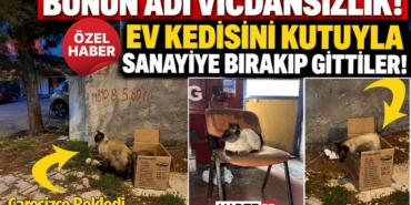 ozel-6.jpg